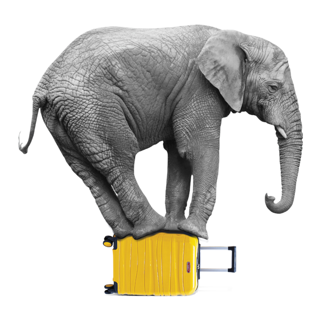 Valise(1)